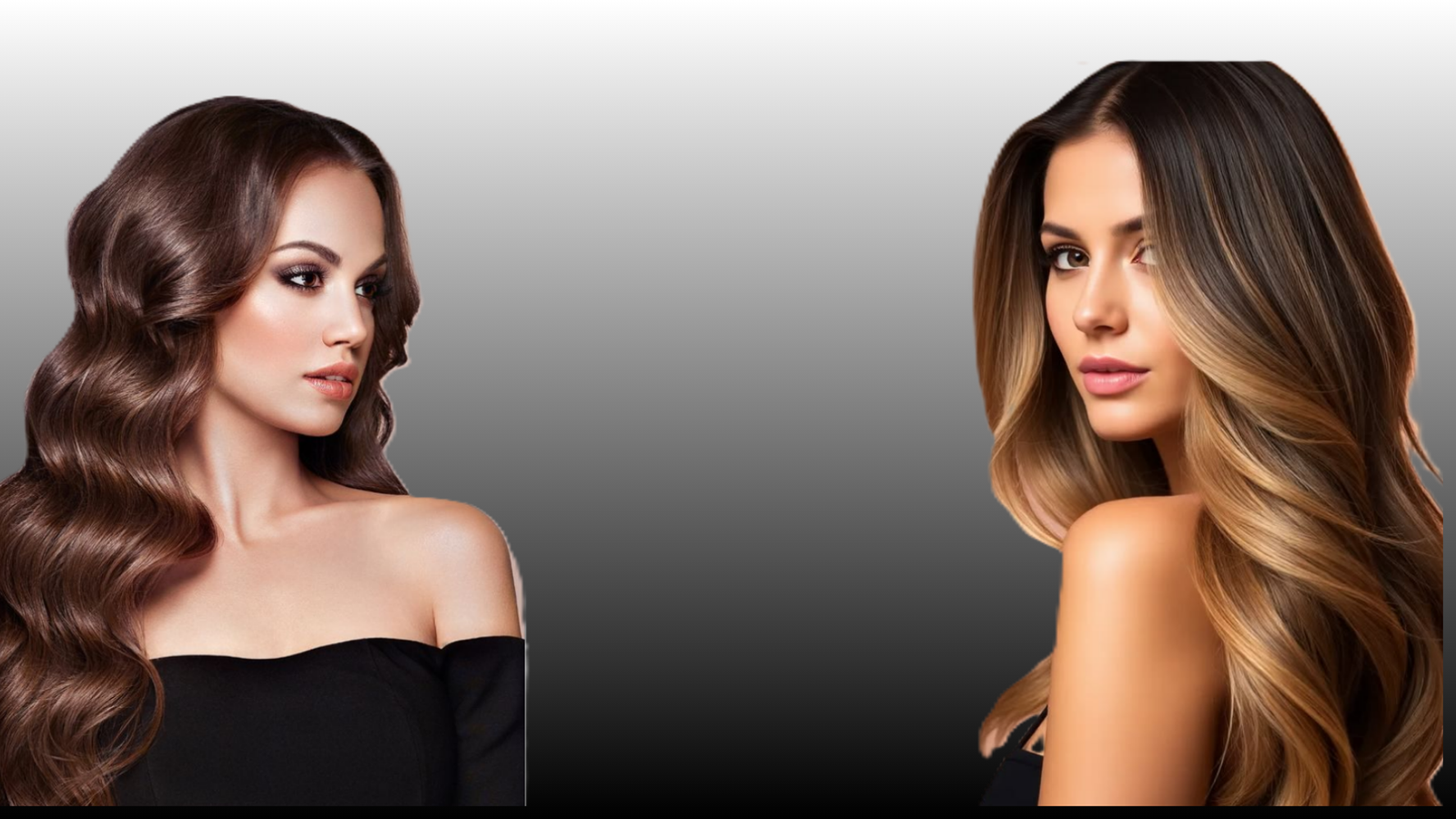 Professional hair care artistry